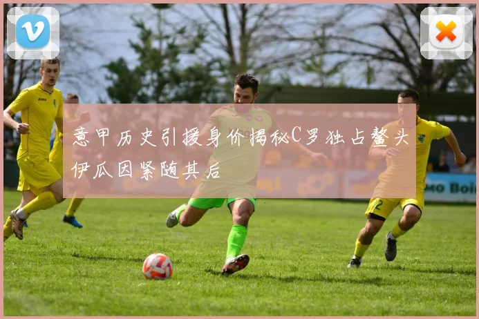 意甲历史引援身价揭秘C罗独占鳌头伊瓜因紧随其后