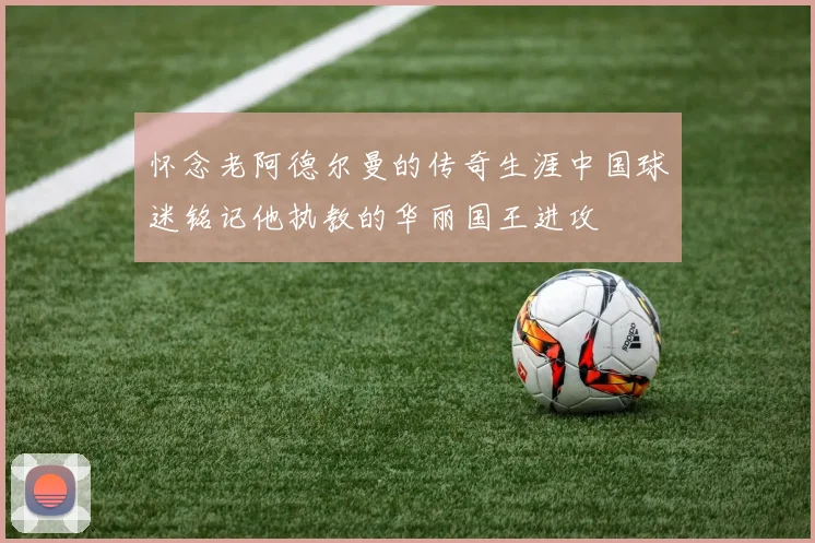 怀念老阿德尔曼的传奇生涯中国球迷铭记他执教的华丽国王进攻